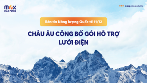 Bản tin Năng lượng Quốc tế 11/12: Châu Âu công bố gói hỗ trợ lưới điện